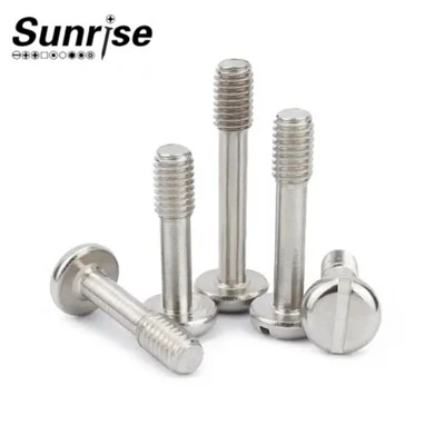 Cargol captiu ranurat de capçal pla d'acer inoxidable 304 316